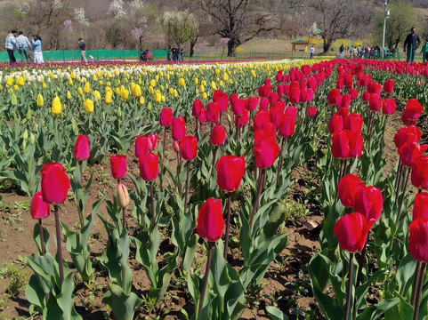 Ganesham Tour - Private Day Tour-斋蒲尔必去景点