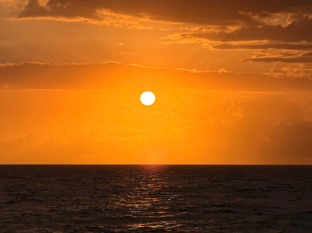 FestiYacht de Bourbon-Le Port必去景点