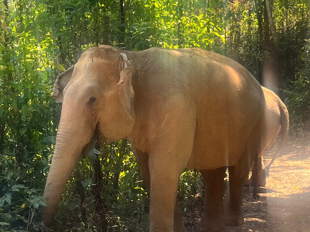 Chang Chill-Mae Win必去景点