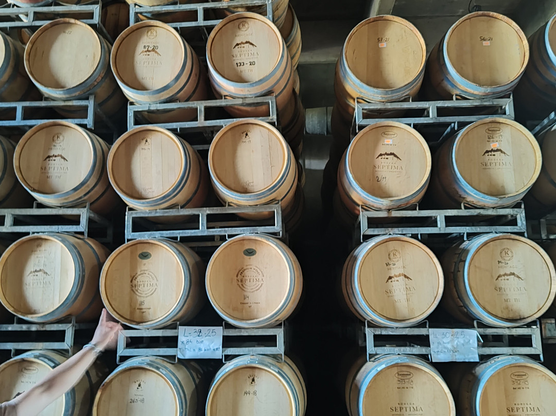 Bodega Septima-路冉得库约必去景点