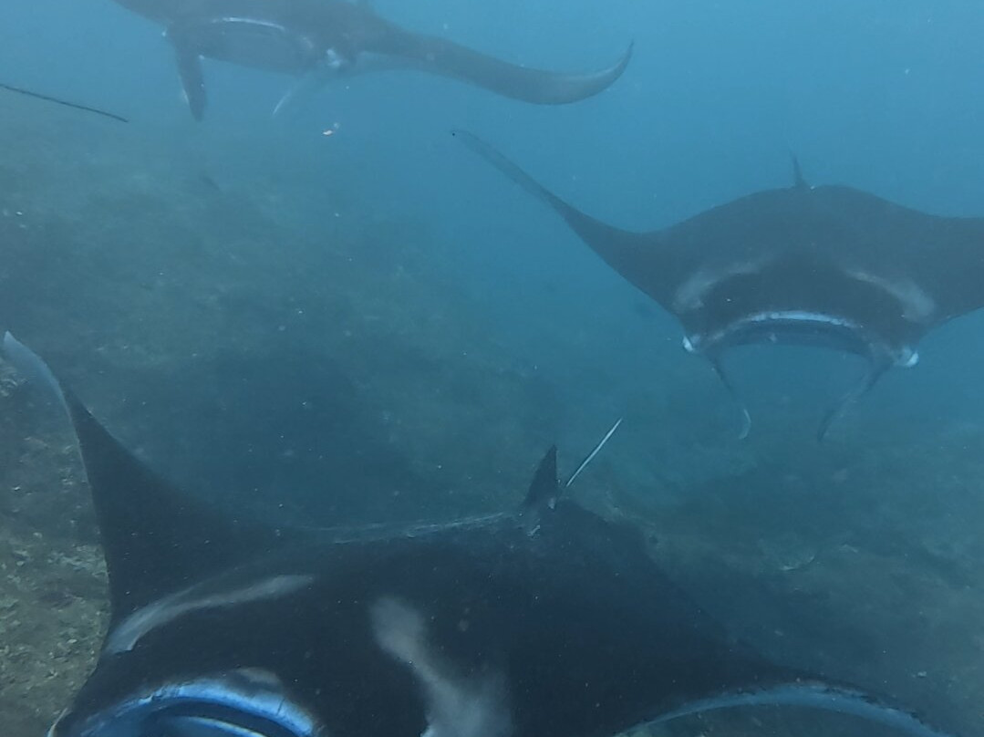 Nusa Penida Sea View-珀尼达岛必去景点