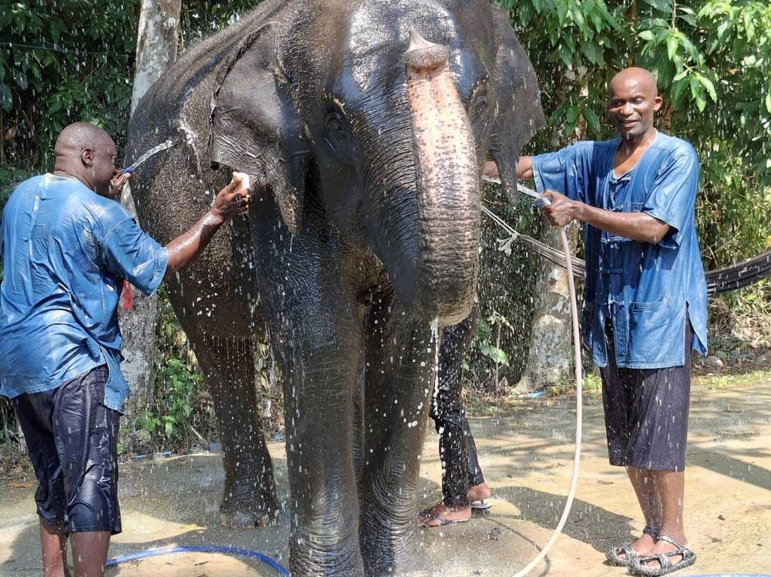 Trunk & Soul Elephant Home-班巴克洛必去景点
