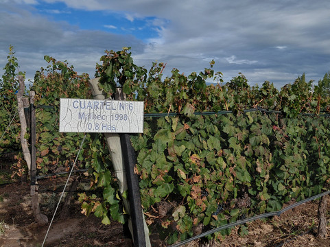 Bodega Finca El Nevado-圣拉斐尔必去景点