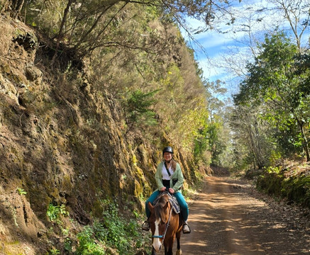 Equine Village by Quinta do Riacho-Santo da Serra必去景点
