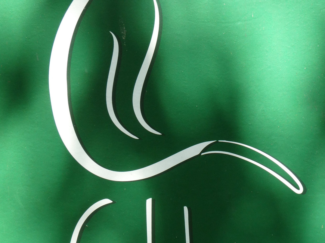 Colobus Conservation-迪亚尼必去景点