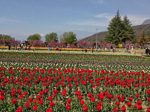 Himalayan walk Adventure-帕哈甘必去景点