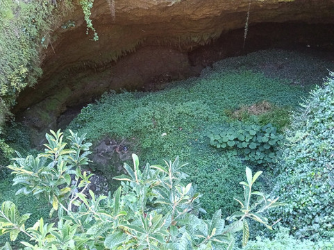 Cave Garden/thugi-芒特甘比尔必去景点