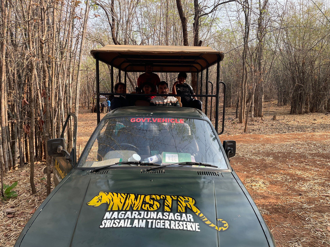 Nallamalai Jungle Camp
