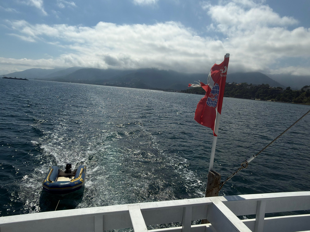 Narwhal-伊利亚贝拉必去景点