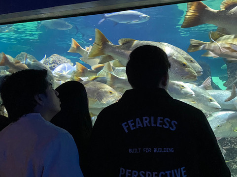 Acuario Michin Puebla-普埃布拉必去景点