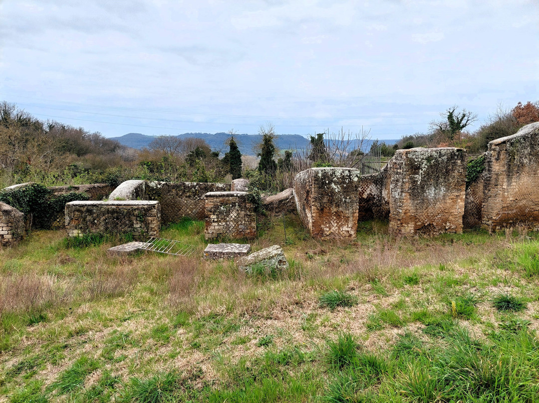 Parco Archeologico Di Otricoli-Otricoli必去景点