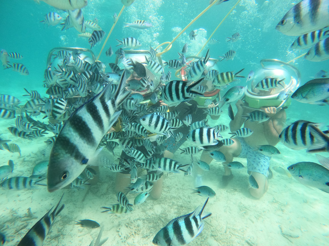 水上乐园-贝尔马尔必去景点