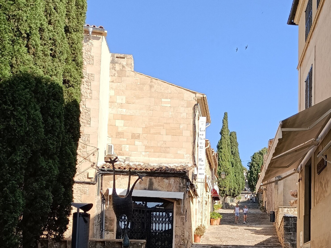 Es 365 Escalons-Pollenca必去景点