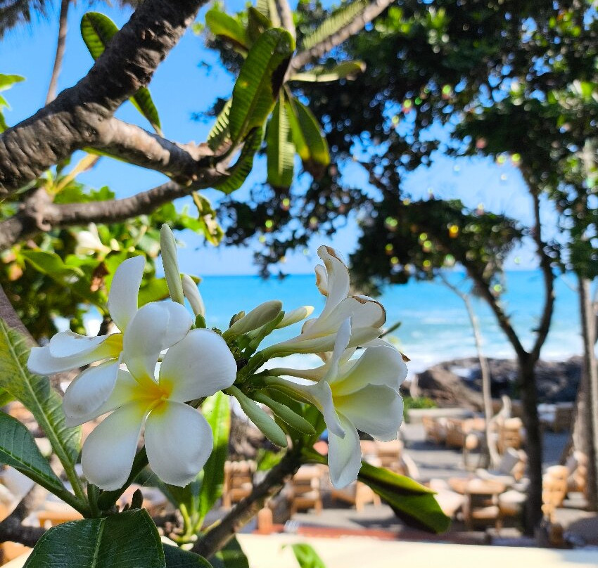 Amazing Sunshine Holidays-康提必去景点