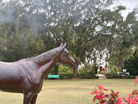 St. Nicholas Abbey Heritage Railway