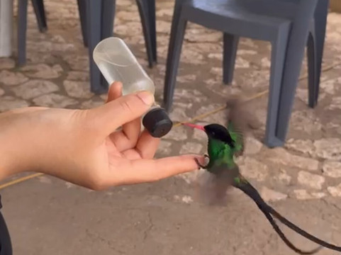 罗克兰兹鸟类保护区-Wiltshire必去景点