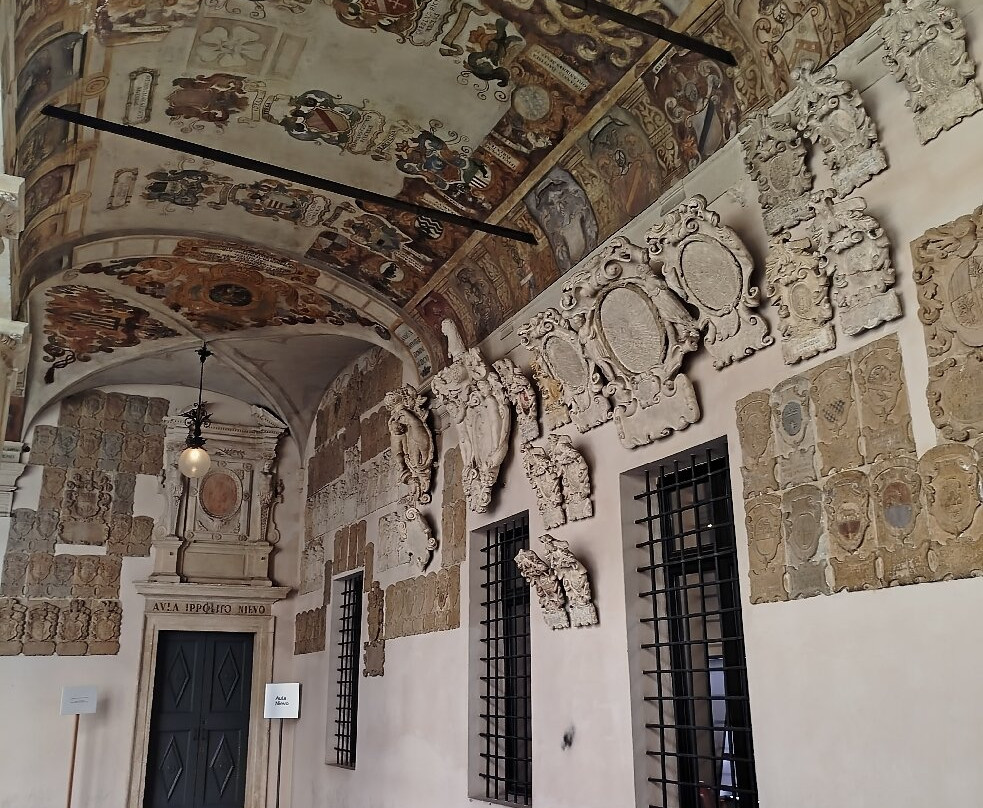 帕多瓦大学-帕多瓦必去景点