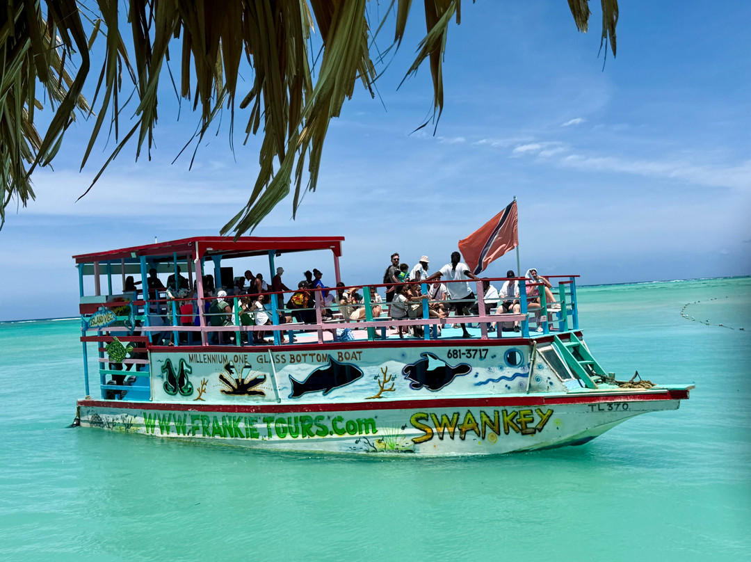 Frankie Tours & Rentals-Mount Irvine必去景点