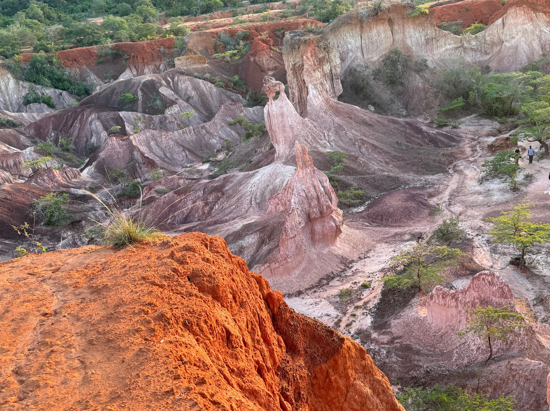 Safari Kenya Con Aragosta
