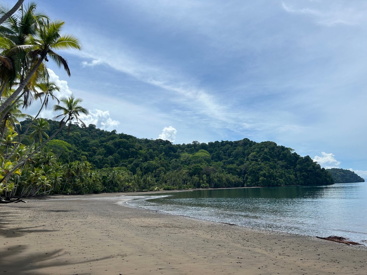 卡提弗海滩旅馆-官方