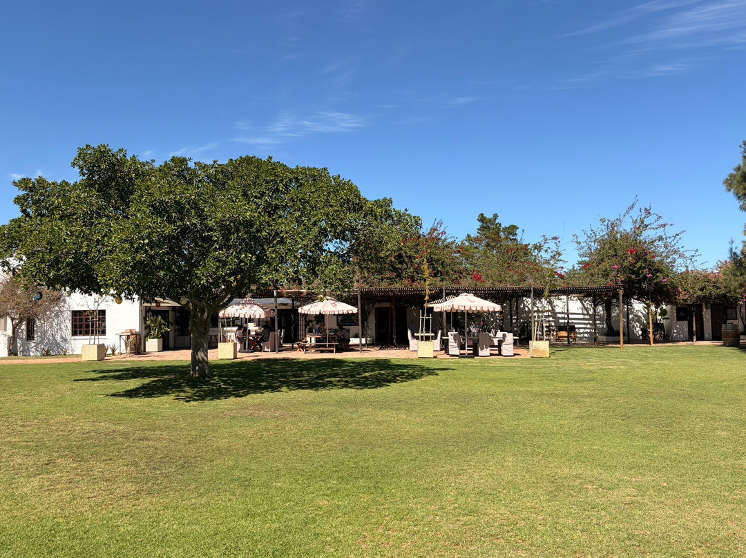 Cape Town Ostrich Ranch-开普敦中心区必去景点