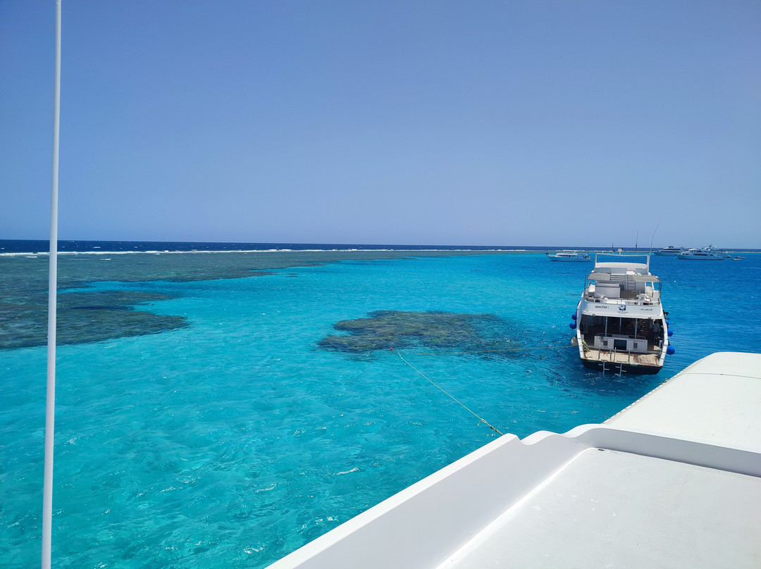 Marsa Alam Online-马萨阿拉姆必去景点