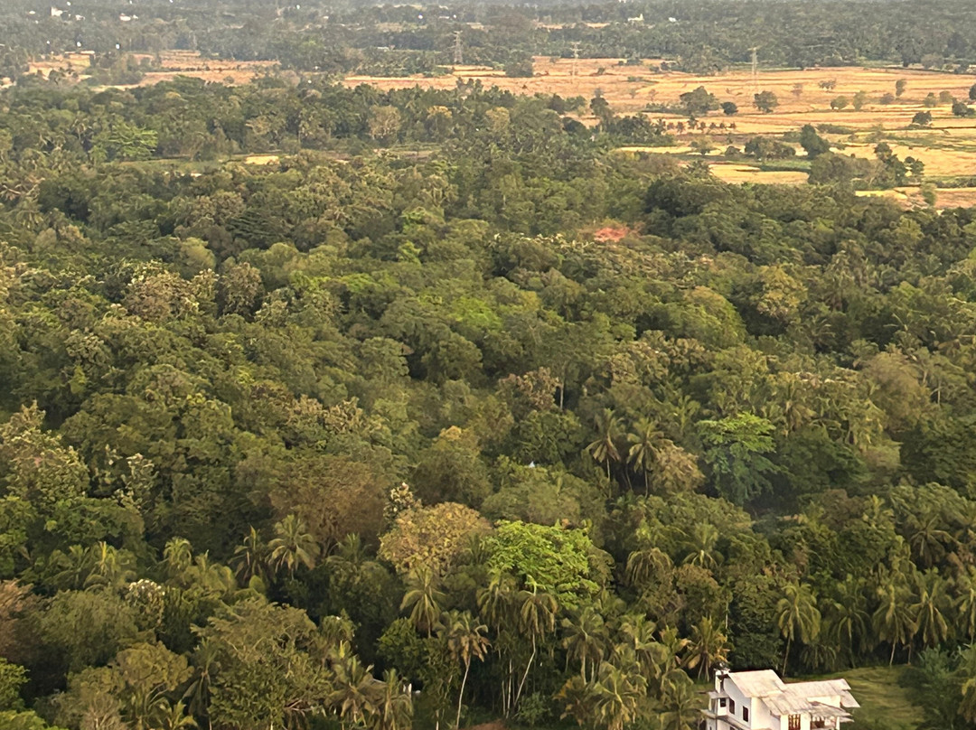 Sun Rise Ballooning-丹布拉必去景点
