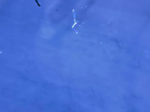 Marine Discovery Centre & Whitby Lobster Hatchery-惠特比必去景点