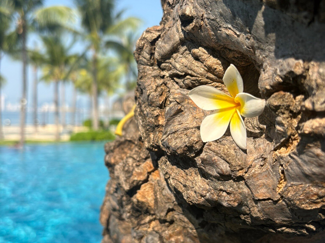 芽庄博马度假村主图