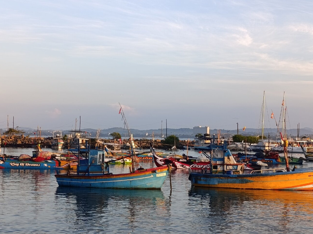 V Travel Sri-Lanka Excursions-科斯戈德必去景点