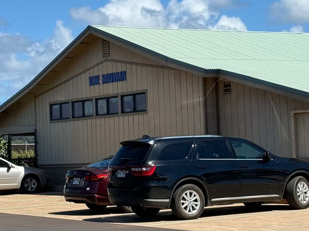 Blue Hawaiian Helicopters - Kauai-利胡埃必去景点
