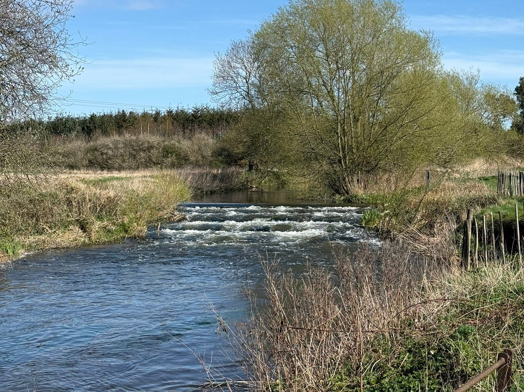 Idle Valley Nature Reserve-Retford必去景点