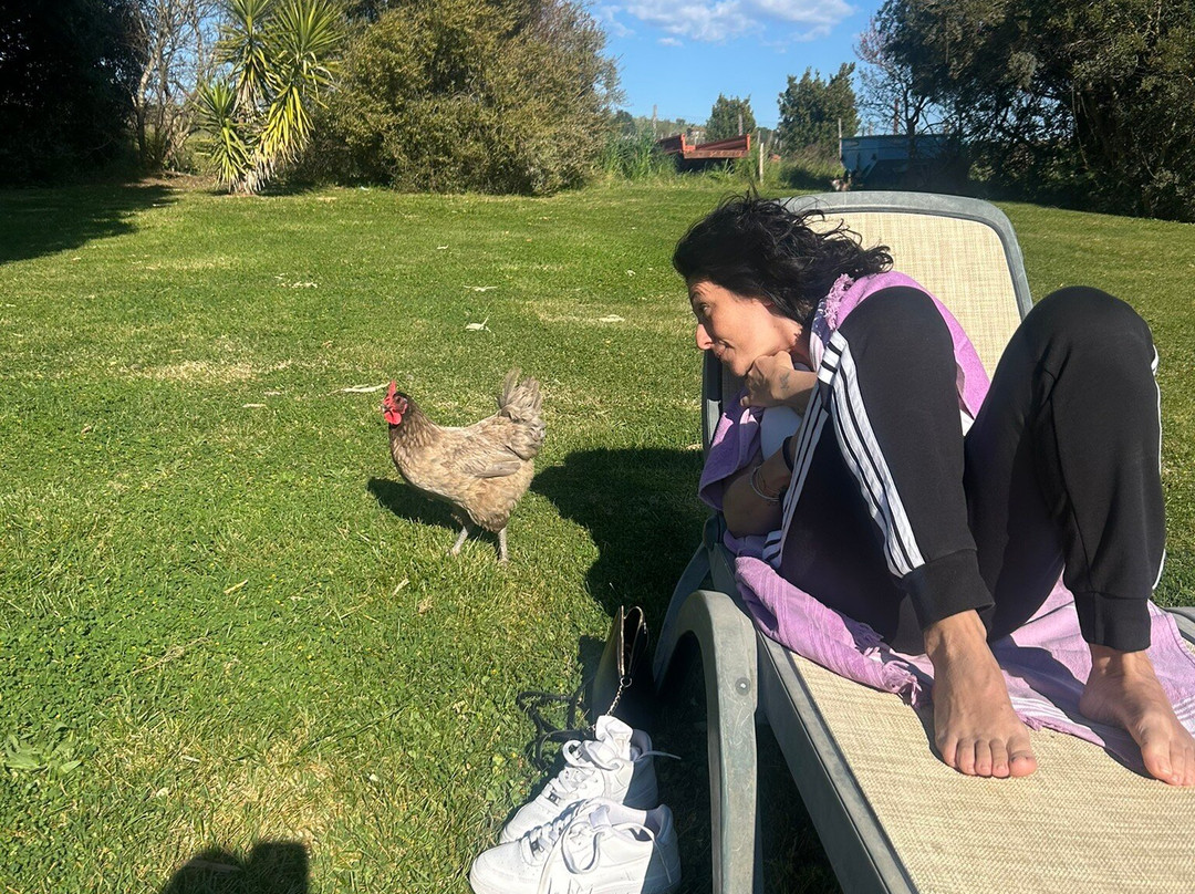 Agriturismo Pian dei Pini主图