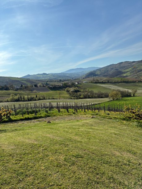 Agriturismo Cella di Montalto-官方