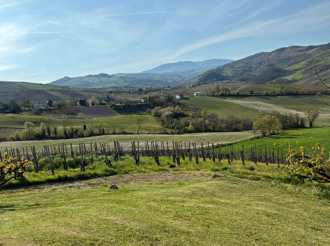 Agriturismo Cella di Montalto主图