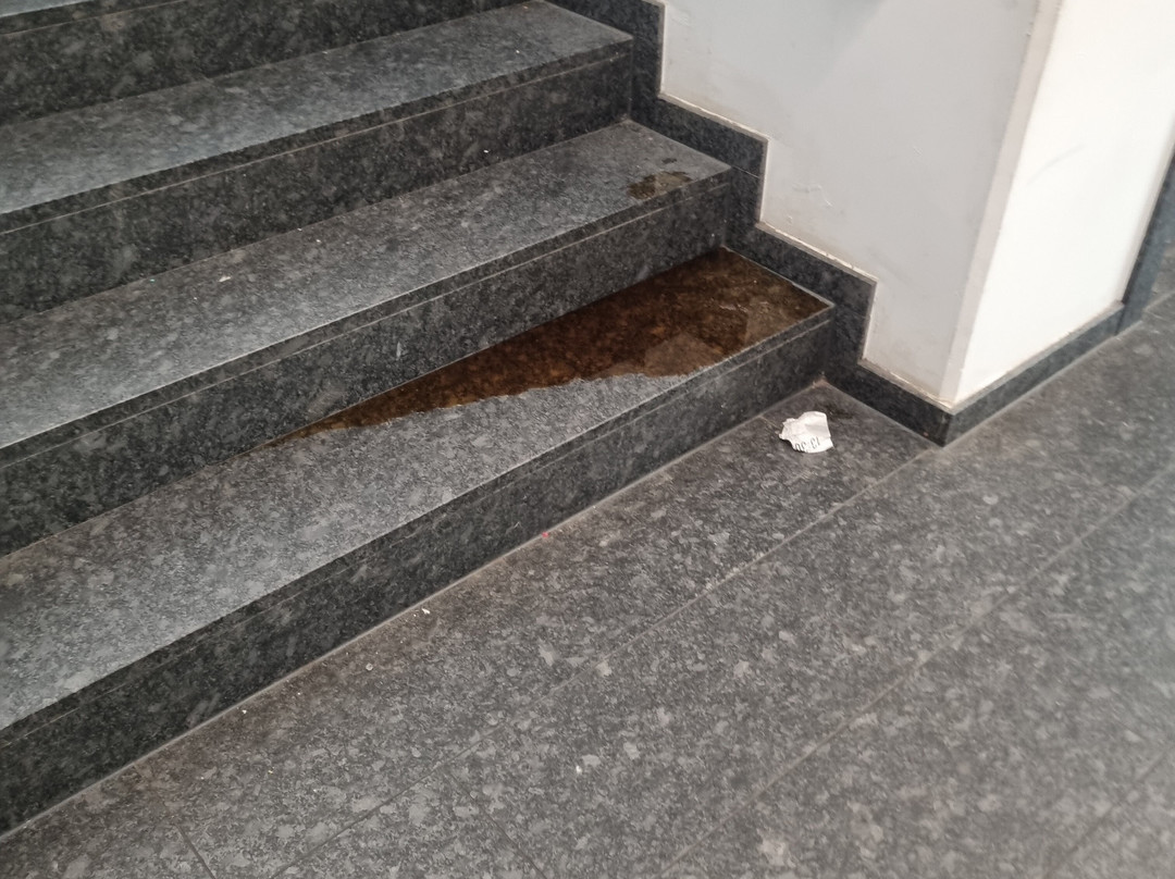 SPRUNG.RAUM Trampolinpark-特罗斯多夫必去景点