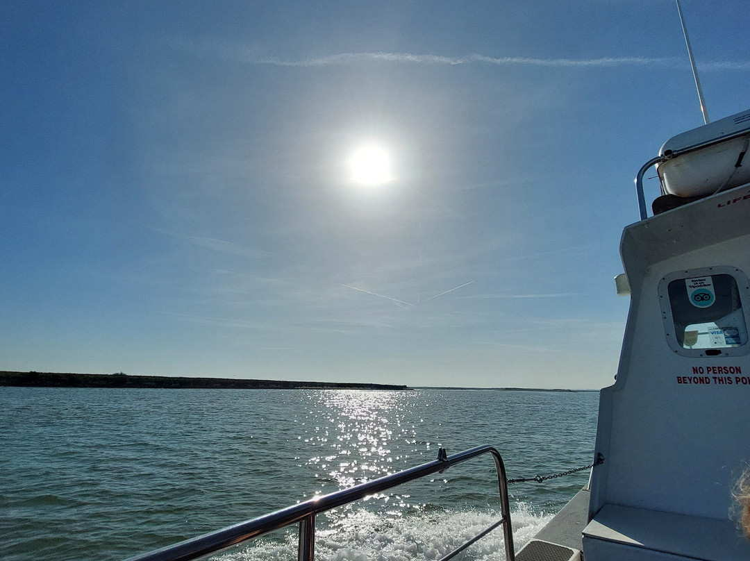 Discovery Seal Trips-Rochford必去景点