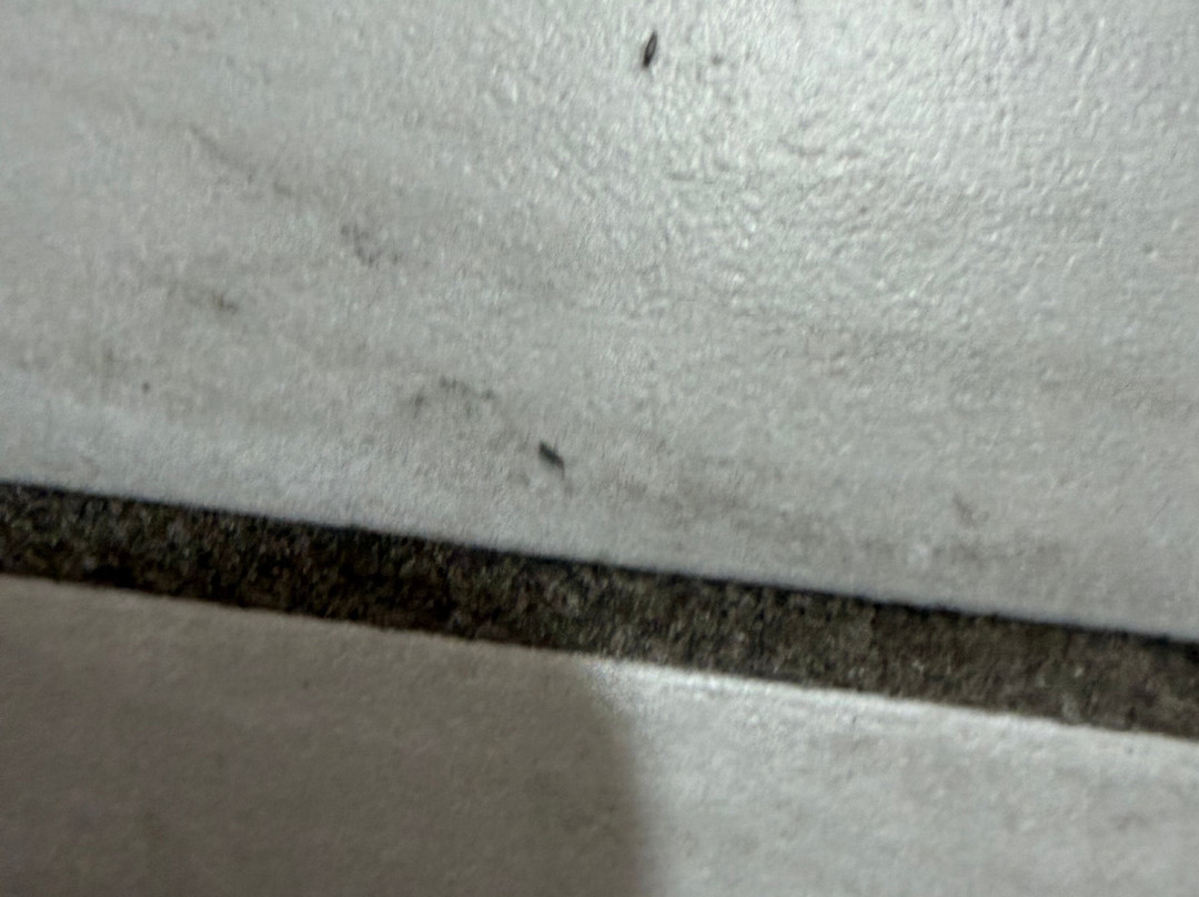 柴尔德雷斯西贝斯特韦斯特酒店主图