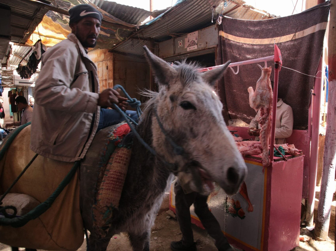 Marocco Tours-马拉喀什必去景点