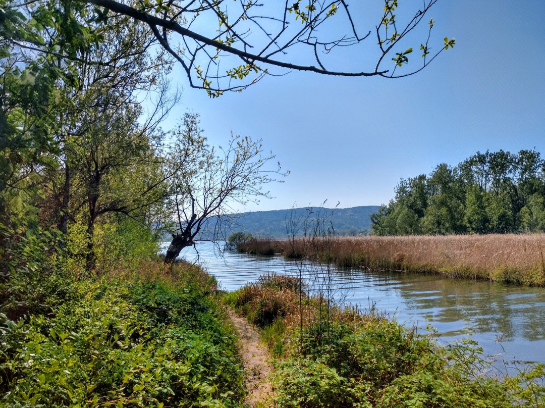 Villaggio Operaio Di Varano Borghi-Varano Borghi必去景点