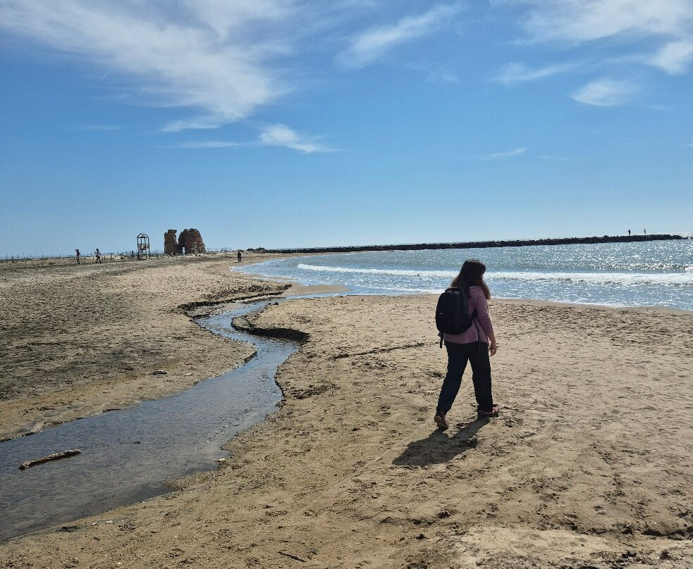 Monumento Naturale Palude di Torre Flavia-拉迪斯波利必去景点