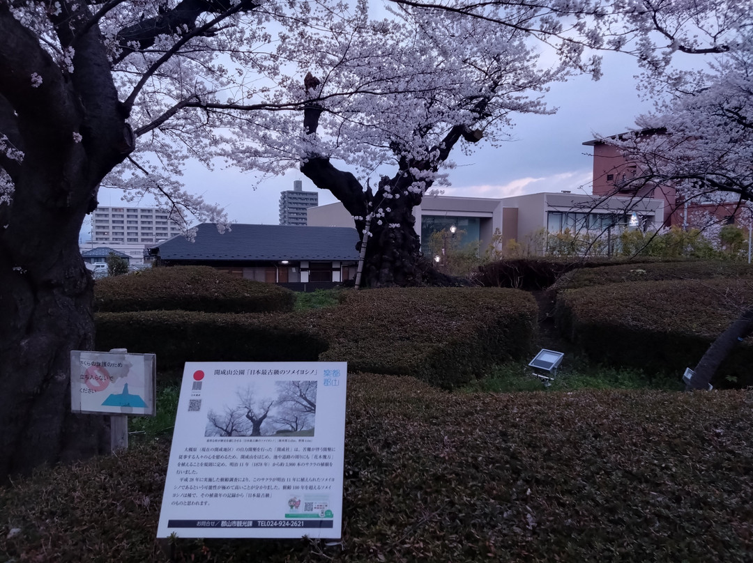 Kaiseiyama Park-郡山市必去景点