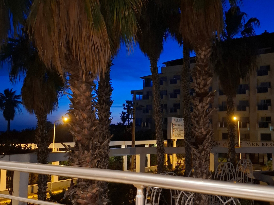 皇家花园海滩酒店 - 全包式主图