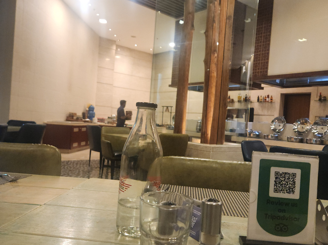 古尔冈市中心索赫纳路丽笙酒店主图