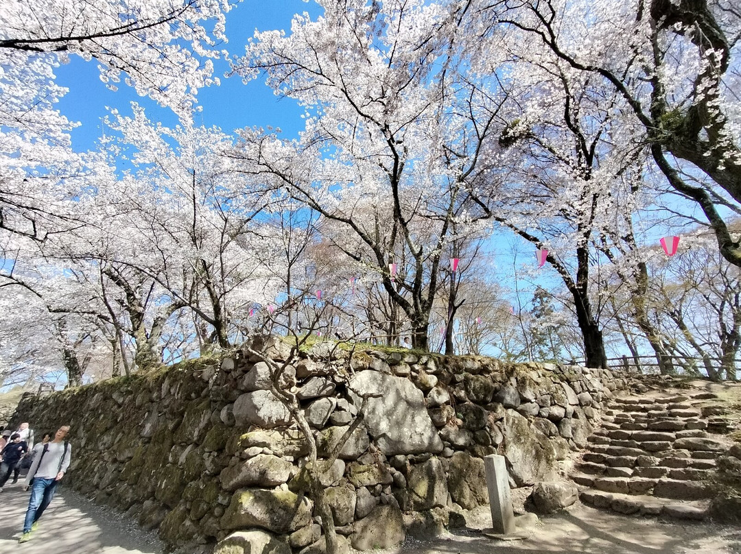Kaikoen Garden-小诸市必去景点