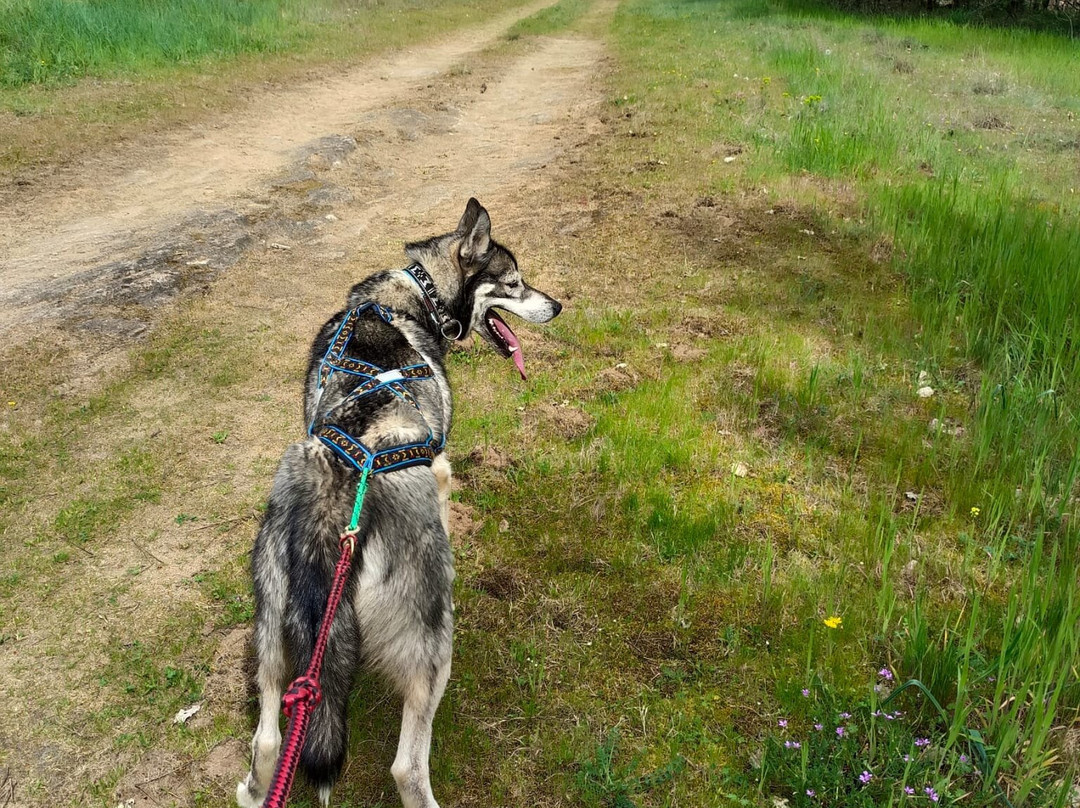 Latitude Nordique-Braslou必去景点