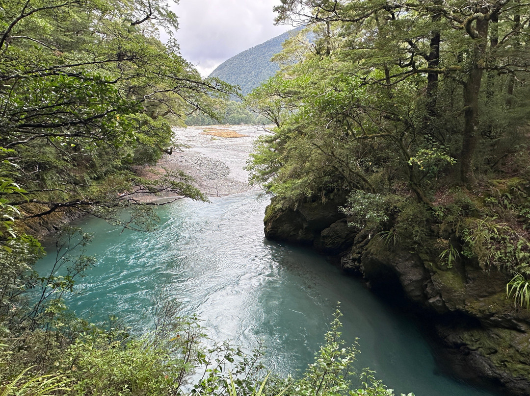 Lake Daniell Track-Springs Junction必去景点