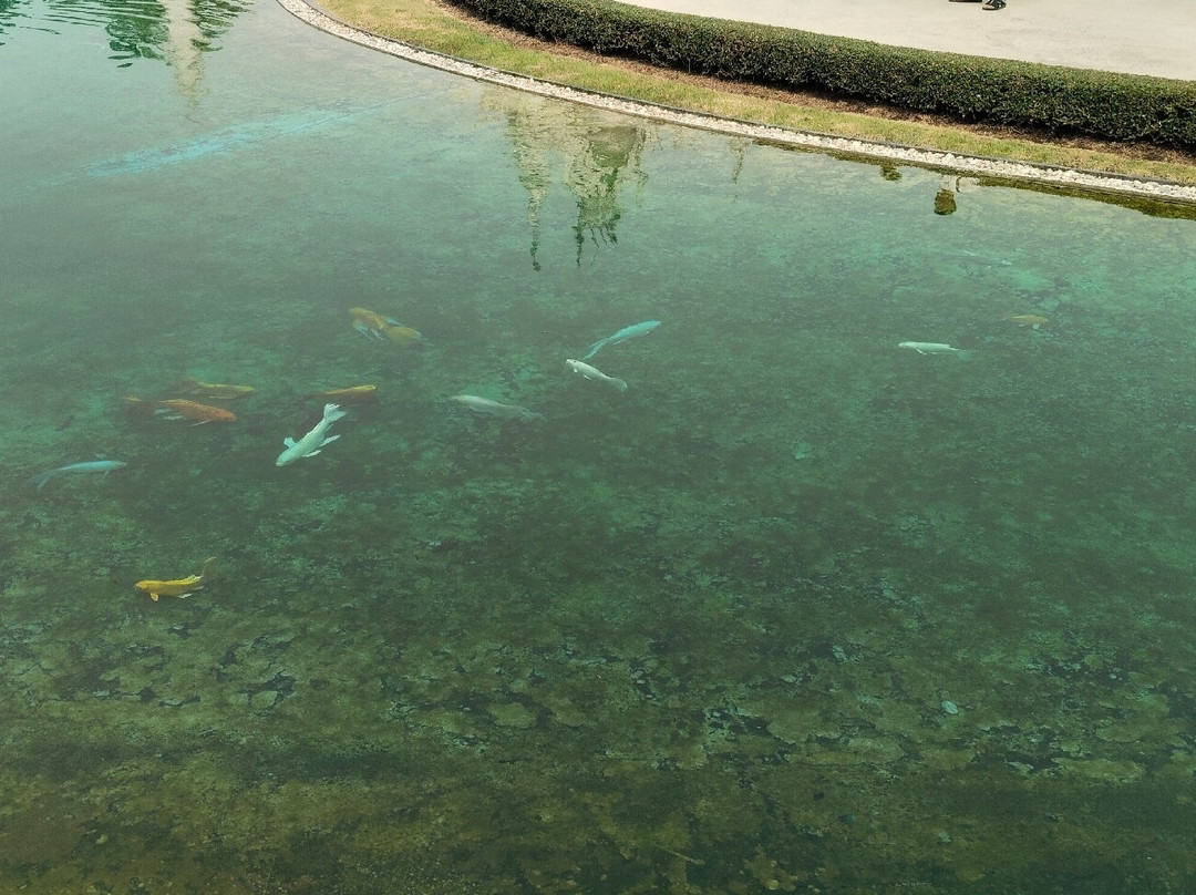 Tee Chiangmai Private Tour-清迈必去景点