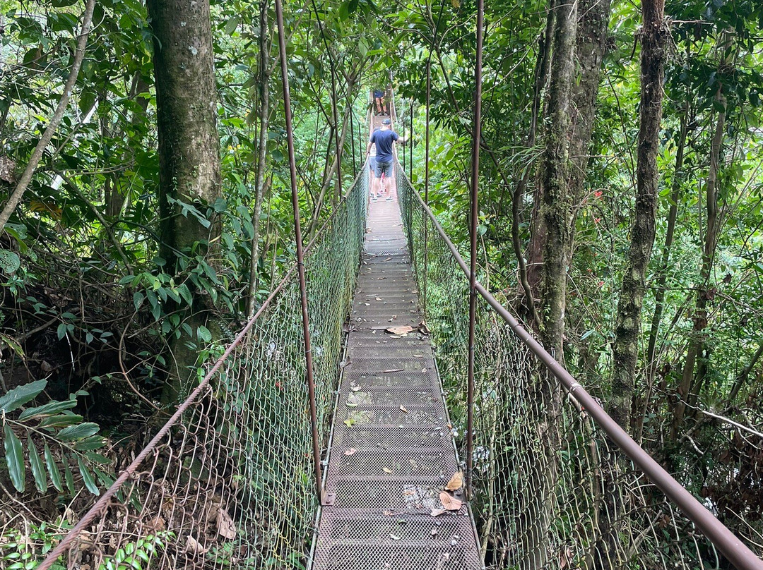 Tree Trek Boquete-波魁特必去景点