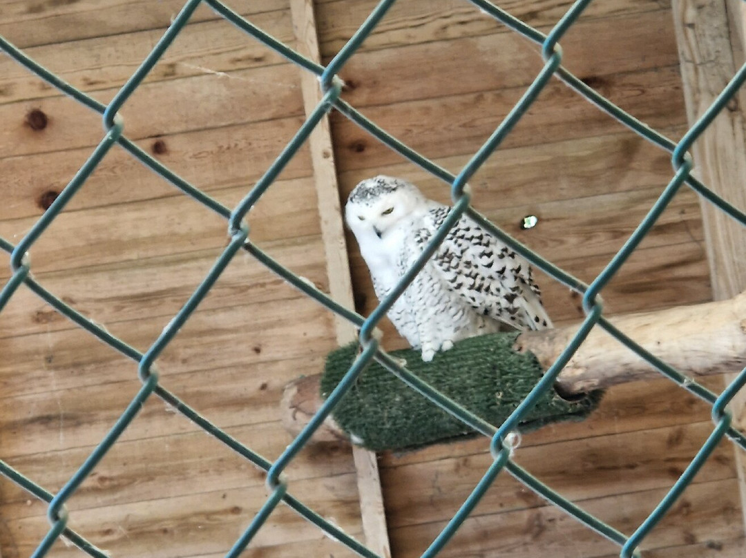 Knockhatch Adventure Park-Hailsham必去景点